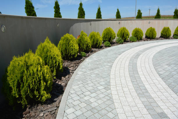 Reasons to Select Us for Your Driveway Paving Requirements in Beechwood, MS